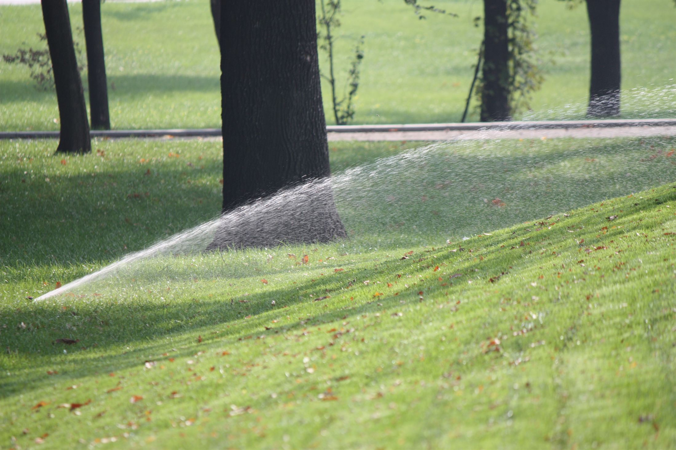 Парк Ленінського Комсомолу, фото 1